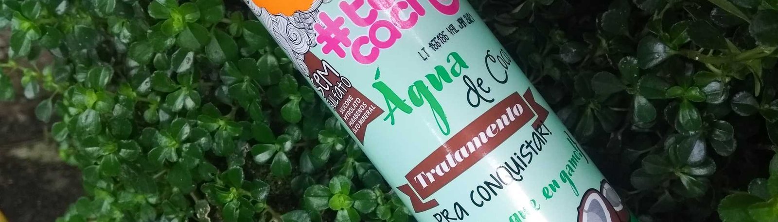 Resenha: Água de Coco Capilar Salon Line